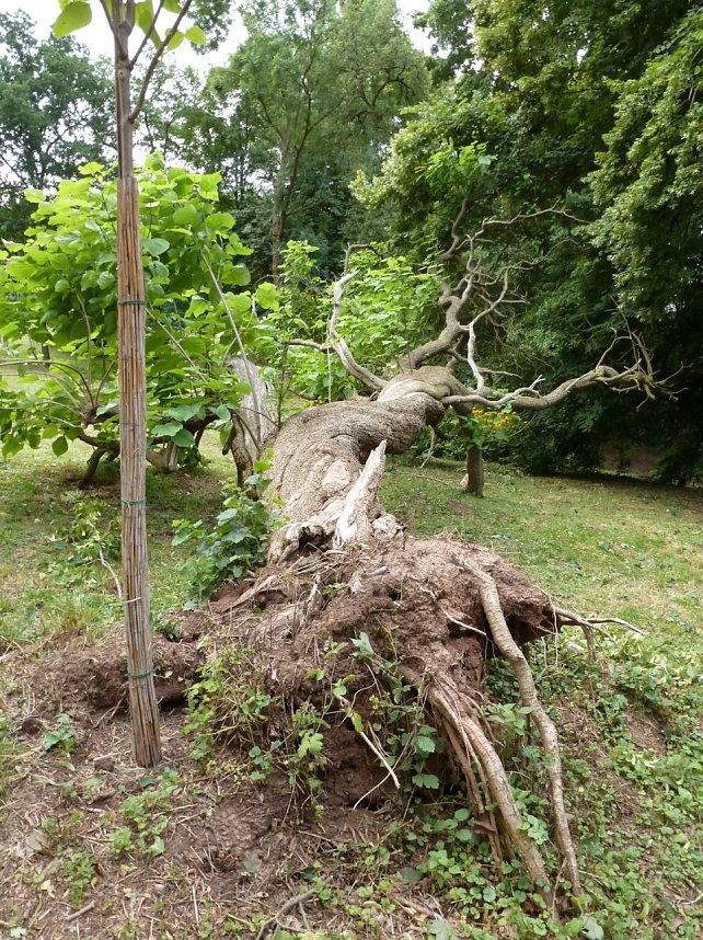 Unwettersch&auml;den in Nordhausen