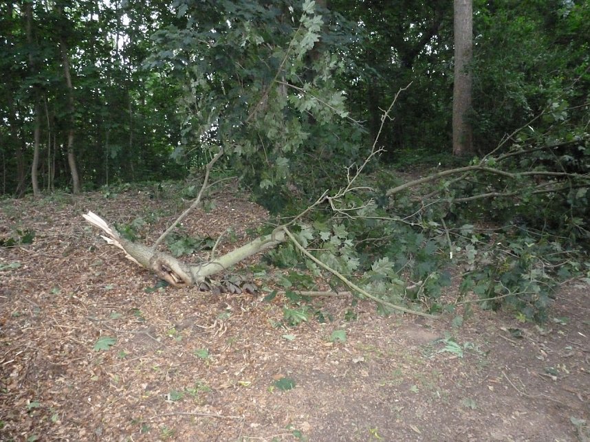 Unwettersch&auml;den in Nordhausen