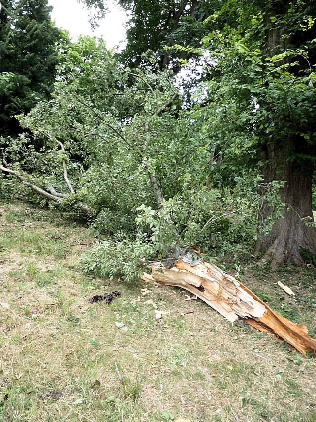 Unwettersch&auml;den in Nordhausen