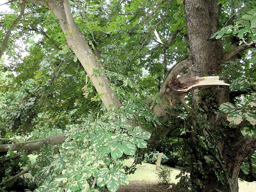 Unwettersch&auml;den in Nordhausen