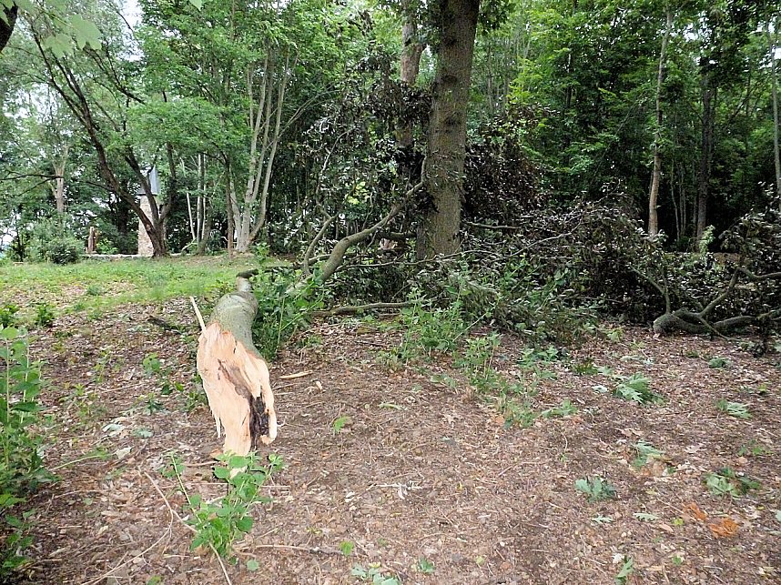 Unwettersch&auml;den in Nordhausen