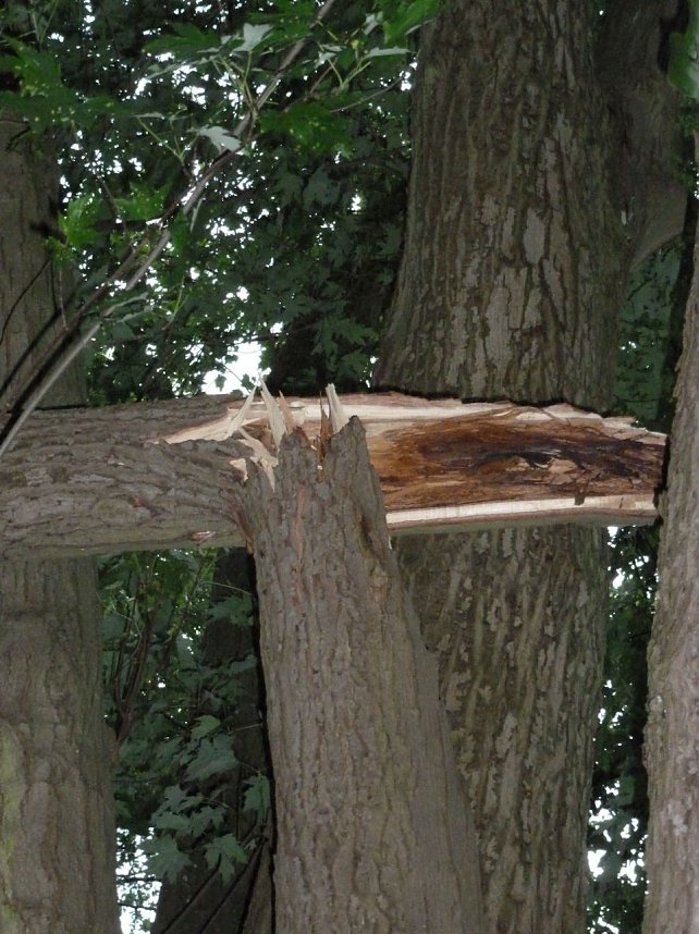 Unwettersch&auml;den in Nordhausen