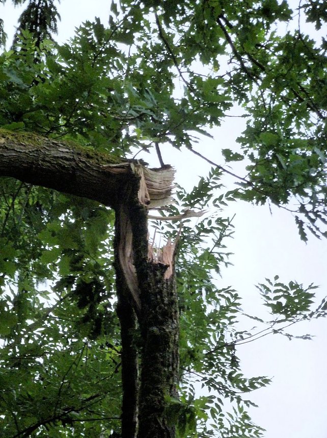 Unwettersch&auml;den in Nordhausen