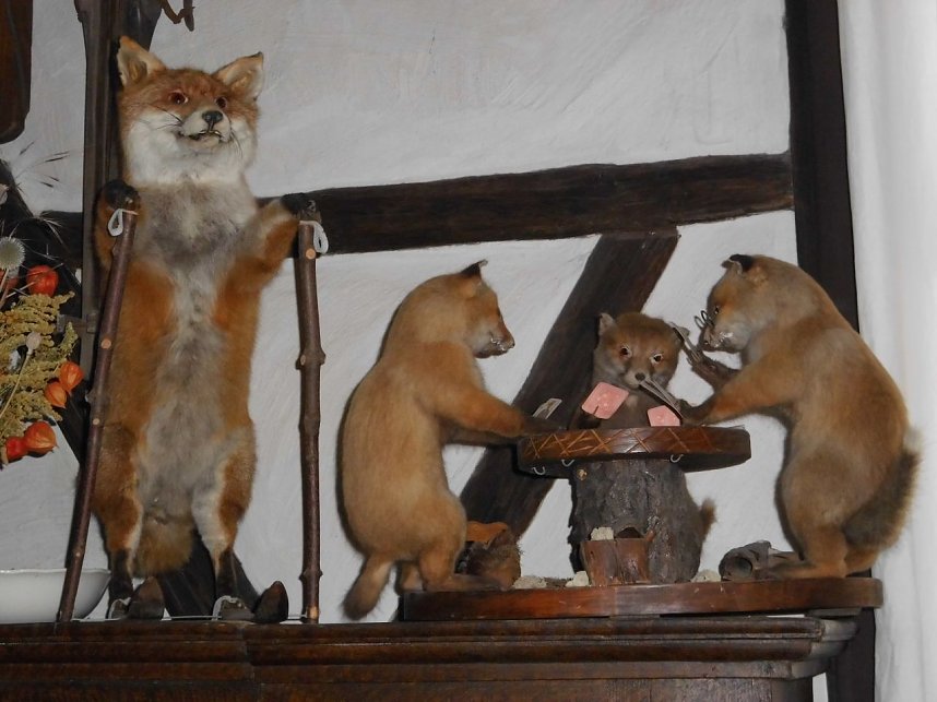 Der Leiter des Ilfelder Museums war auf Bildungsreise quer durch den Harz