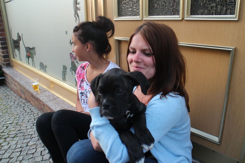 Alternatives Altstadtfest in Nordhausen