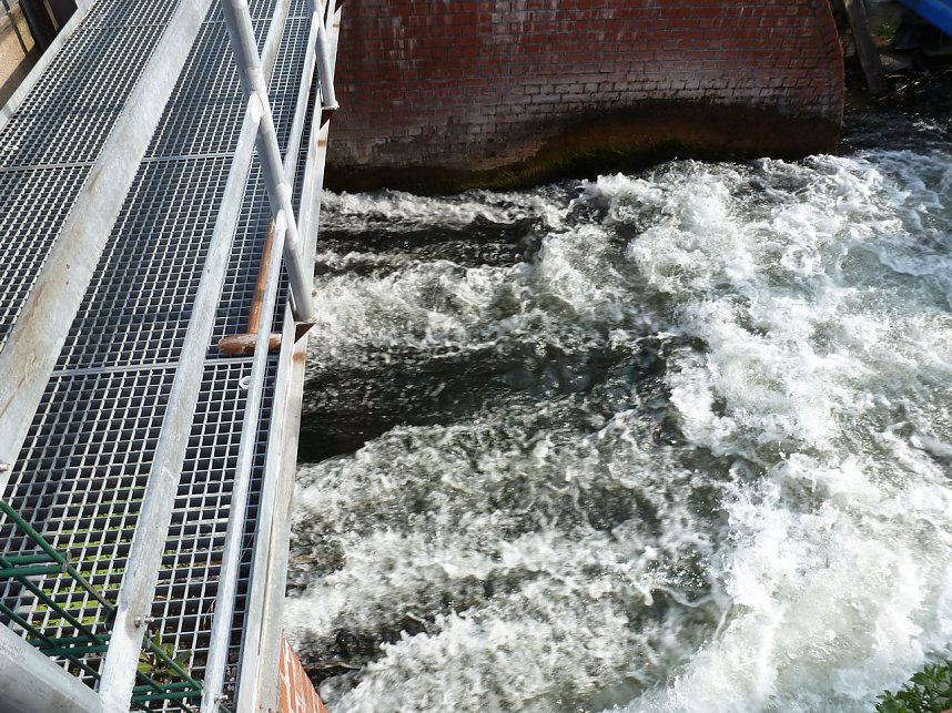 Peter Blei unterwegs: Plau am See