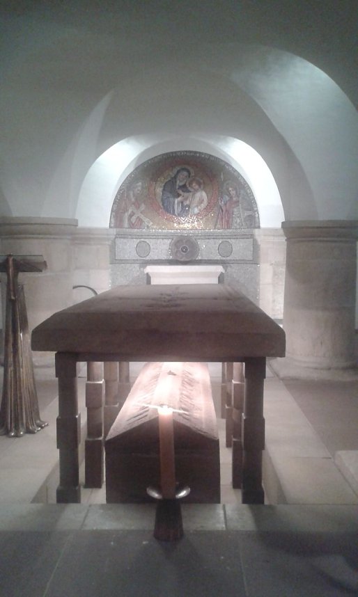 Der Tausendj&auml;hrige Rosenstock