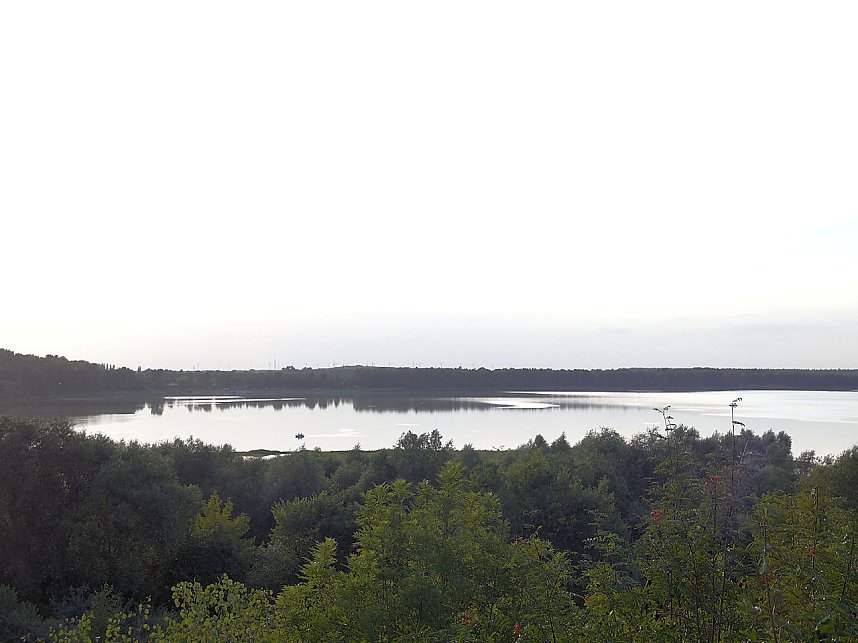 Impressionen am Muldenstausee