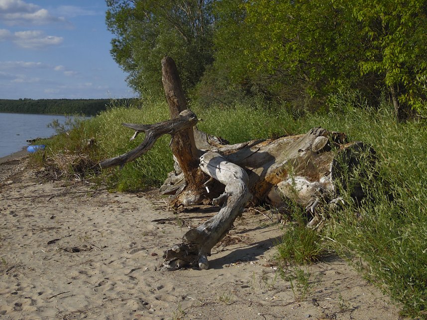 Impressionen am Muldenstausee
