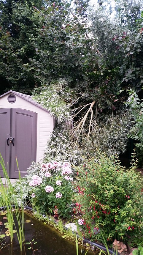 Sturmsch&auml;den im M&auml;usetal