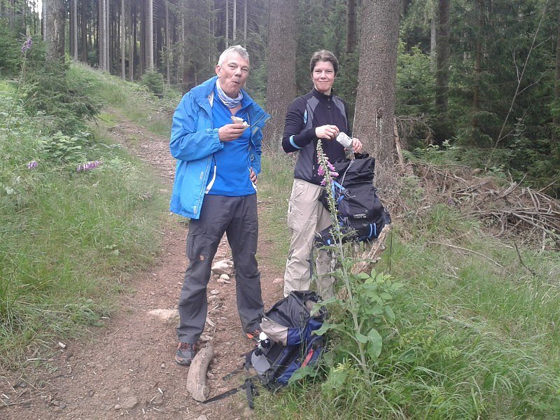 Harz-Hunderter EXTREM