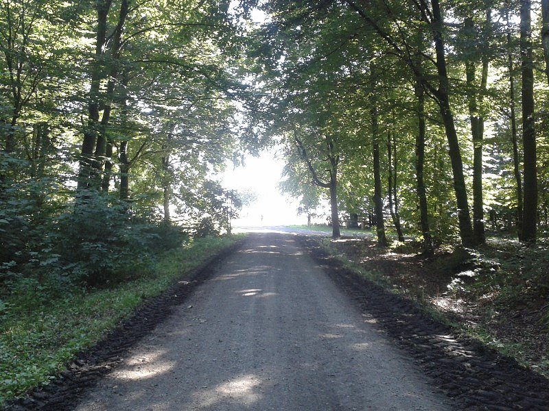 Harz-Hunderter EXTREM