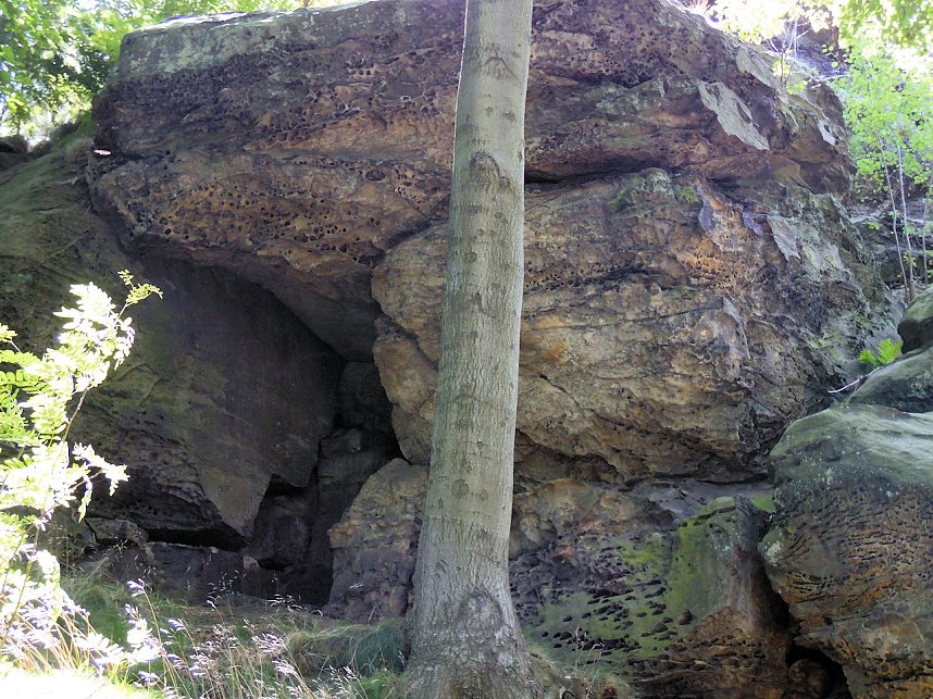 Unterwegs im Harz: Teufelsmauer und Teufelszeug