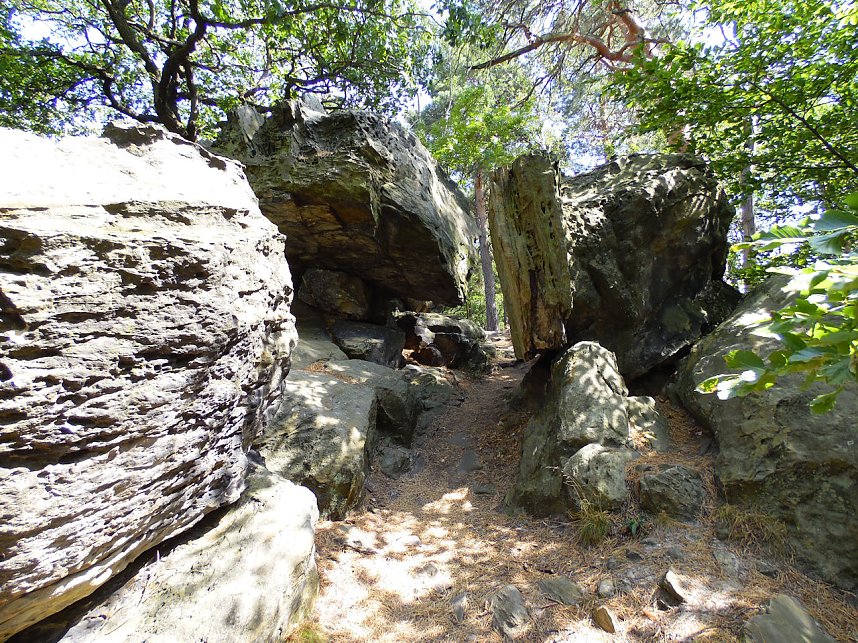 Unterwegs im Harz: Teufelsmauer und Teufelszeug