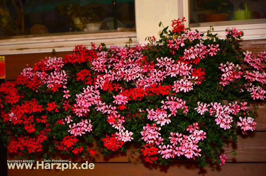 Ferienparty im Schabernack