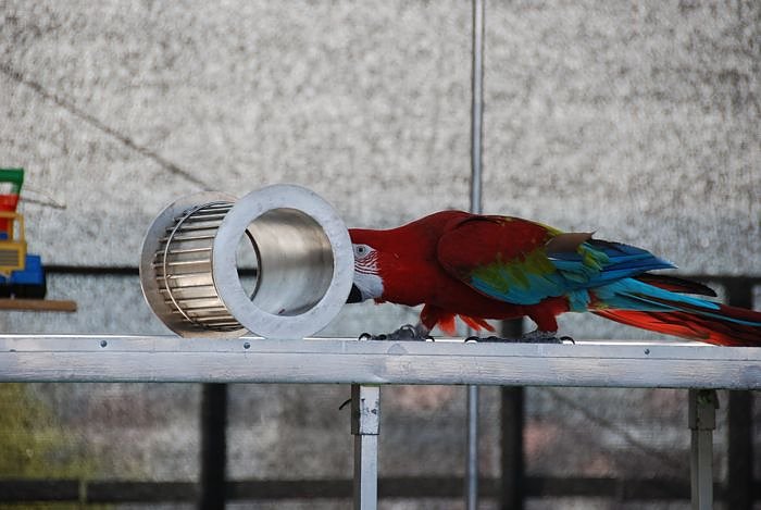 Fr&uuml;hlingsfest auf dem Petersberg 