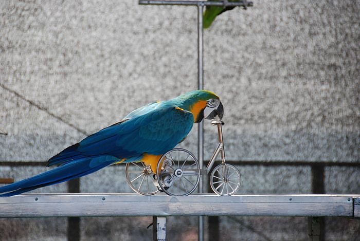 Fr&uuml;hlingsfest auf dem Petersberg 