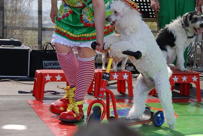 Fr&uuml;hlingsfest auf dem Petersberg 