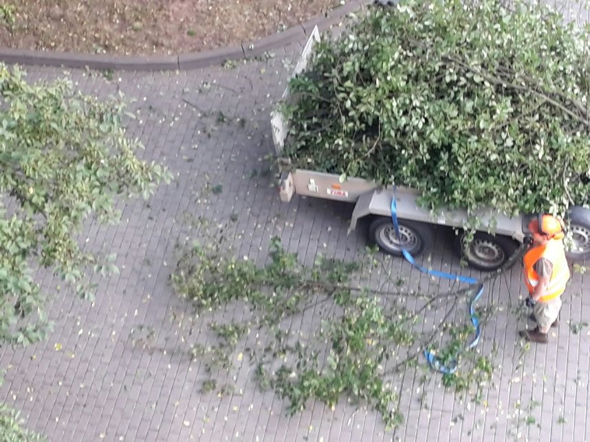 Nur Aus&auml;sten, Lichtraumprofile herstellen, sagt der Fachmann