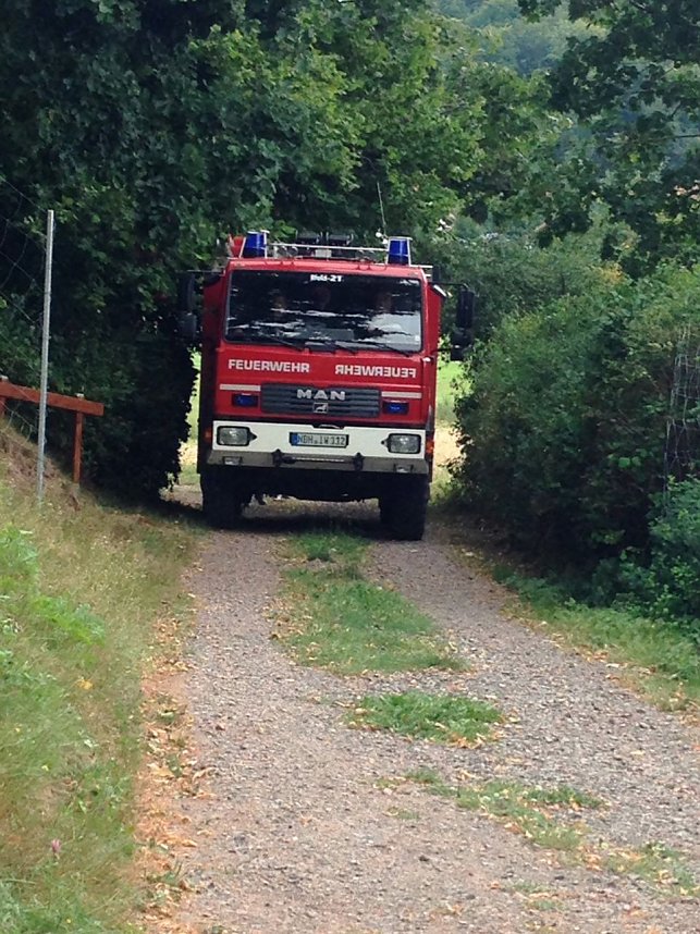 Wasser marsch im Ahornpark
