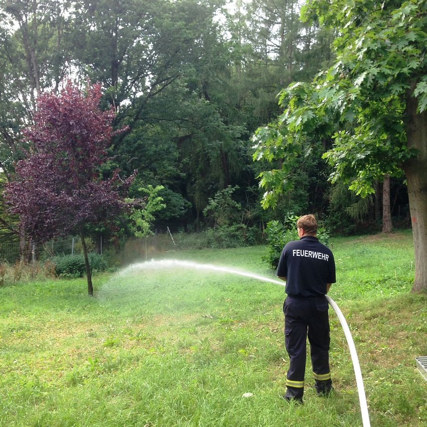 Wasser marsch im Ahornpark