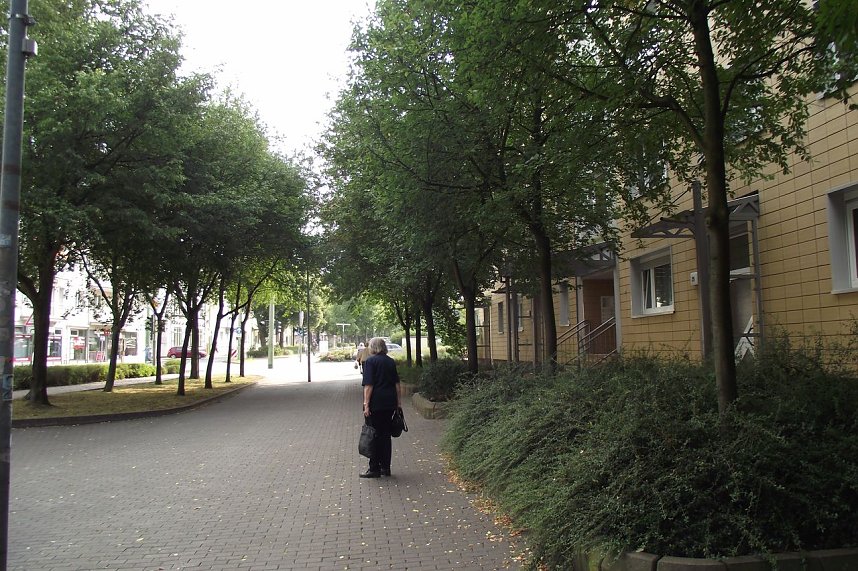 � Wie ein gr&uuml;ner Korridor wirkt der Bereich in der T&ouml;pferstra&szlig;e. In Hitzeperioden empfindet man ihn als angenehm.