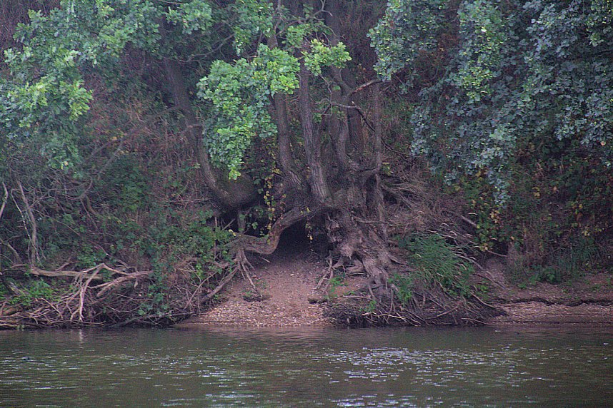 Entdeckungen an der Mulde