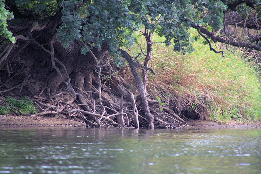 Entdeckungen an der Mulde