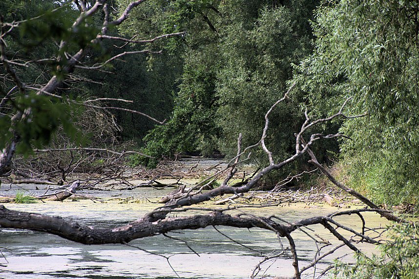 Entdeckungen an der Mulde