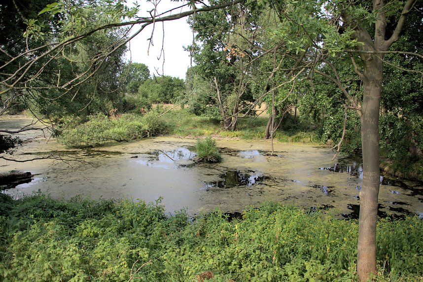 Entdeckungen an der Mulde