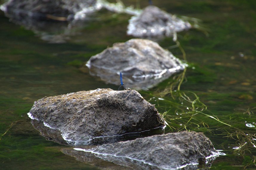 Entdeckungen an der Mulde