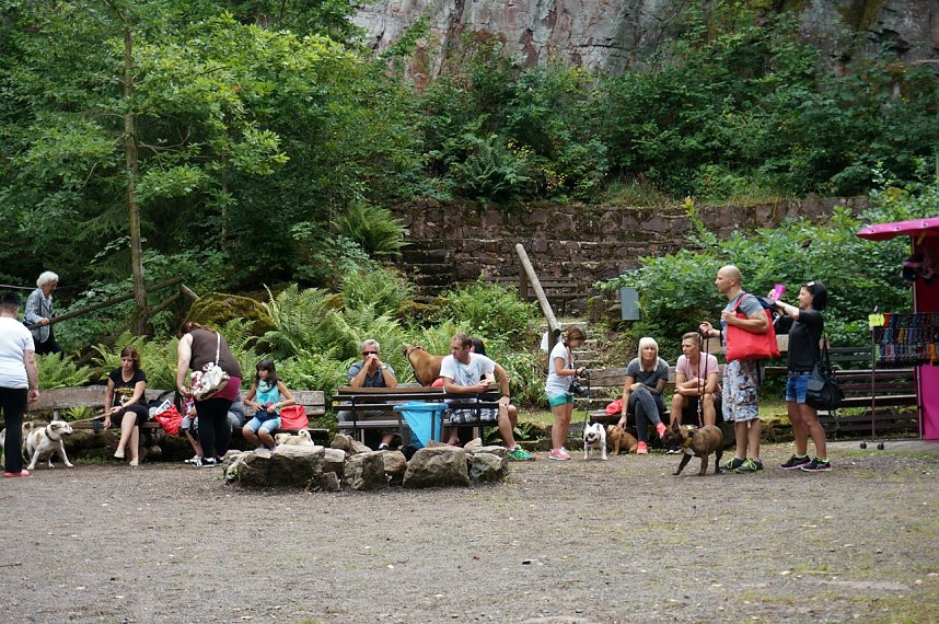 7. Nordth&uuml;ringer Bulldoggentreffen