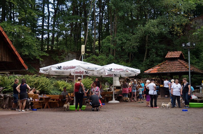 7. Nordth&uuml;ringer Bulldoggentreffen