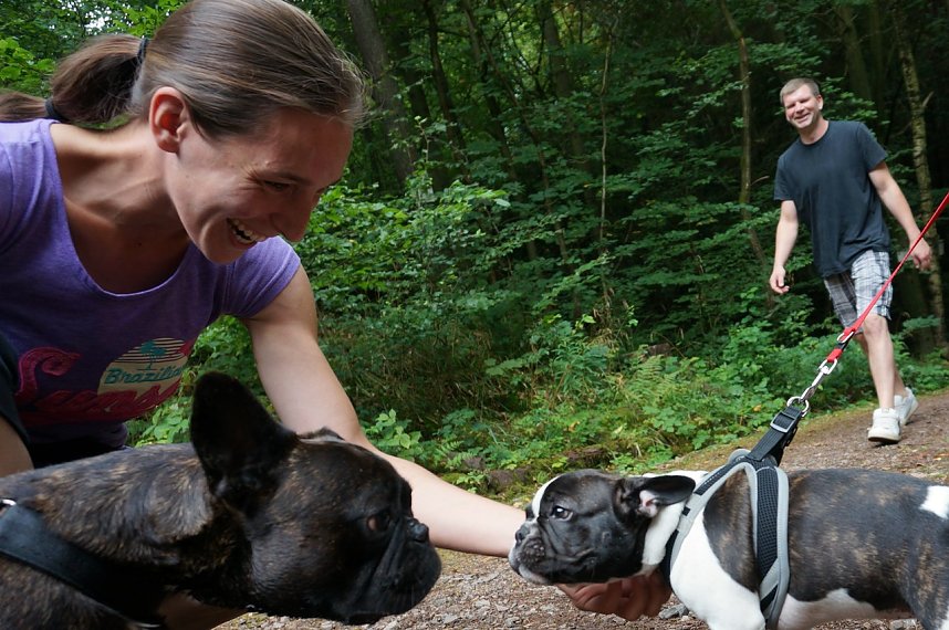 7. Nordth&uuml;ringer Bulldoggentreffen