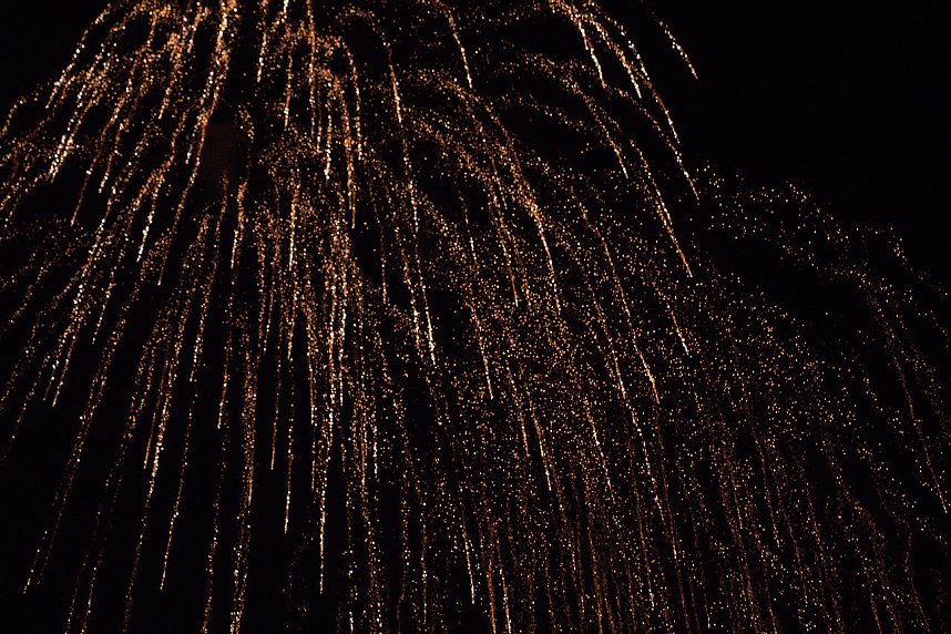 20. EVN-Party - der Abend