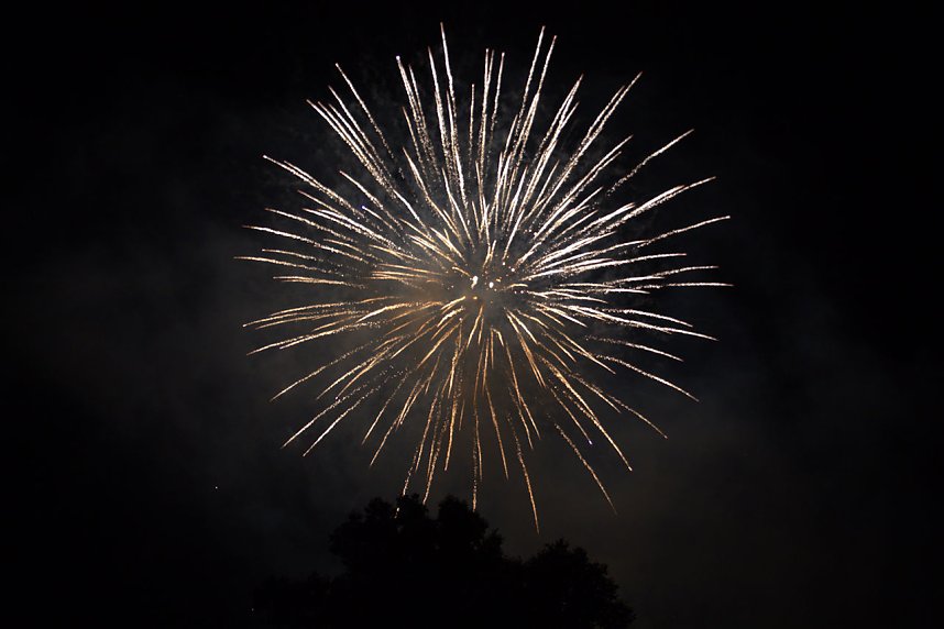 20. EVN-Party - der Abend