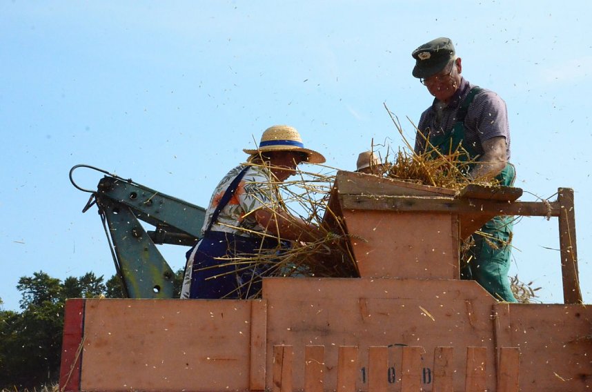 Schleppertreffen Ende August in Herrmannsacker