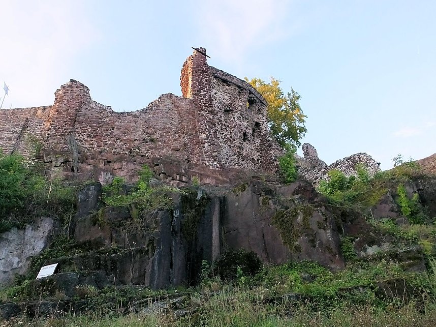Zu Besuch auf der Burgruine Hohnstein