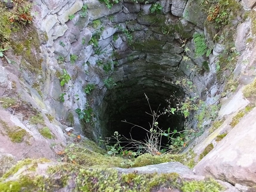 Zu Besuch auf der Burgruine Hohnstein