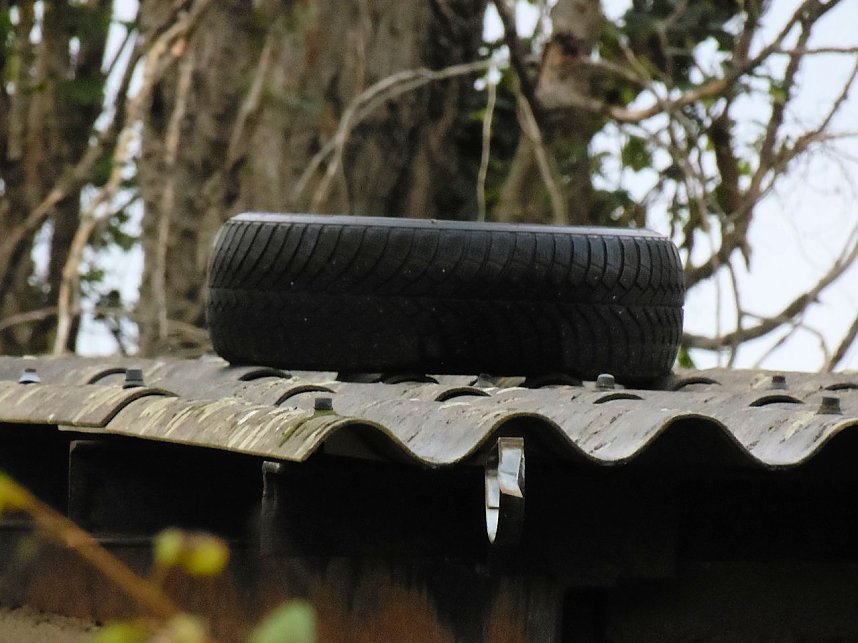 Unwirkliche Orte: Lokschuppen bei Bitterfeld