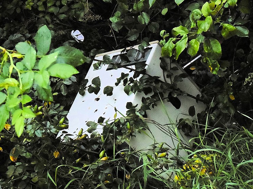 Unwirkliche Orte: Lokschuppen bei Bitterfeld