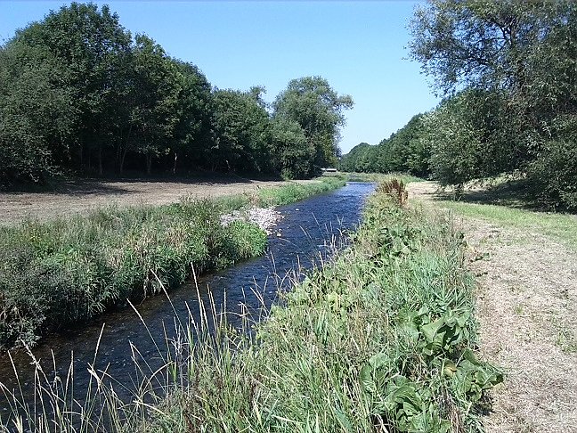 Fahrrad-Exkursion entlang Zorge und Helme