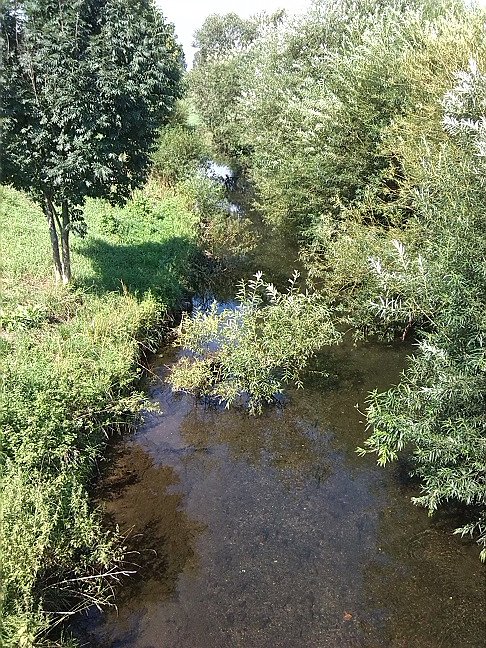 Fahrrad-Exkursion entlang Zorge und Helme