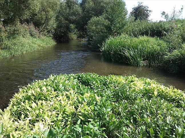 Fahrrad-Exkursion entlang Zorge und Helme