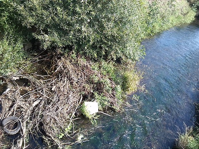 Fahrrad-Exkursion entlang Zorge und Helme