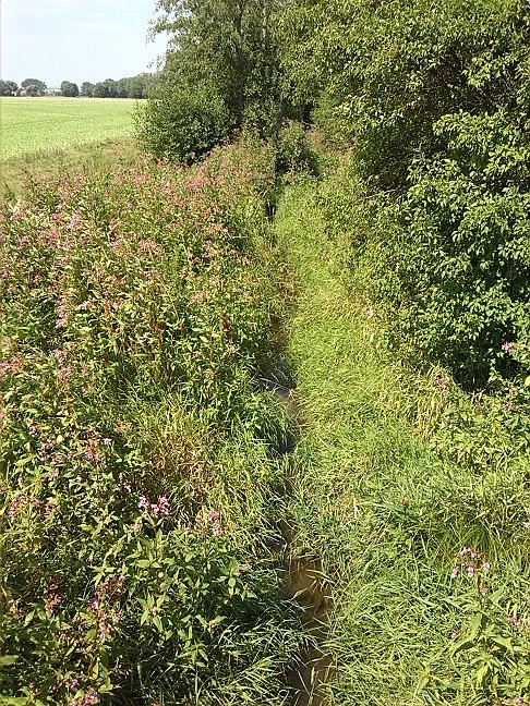 Fahrrad-Exkursion entlang Zorge und Helme