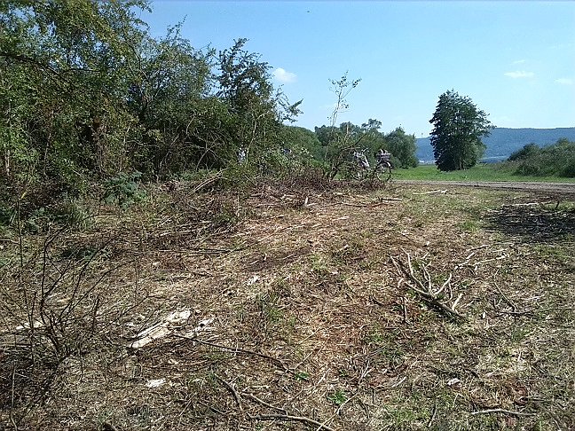 Fahrrad-Exkursion entlang Zorge und Helme