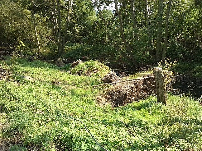 Fahrrad-Exkursion entlang Zorge und Helme