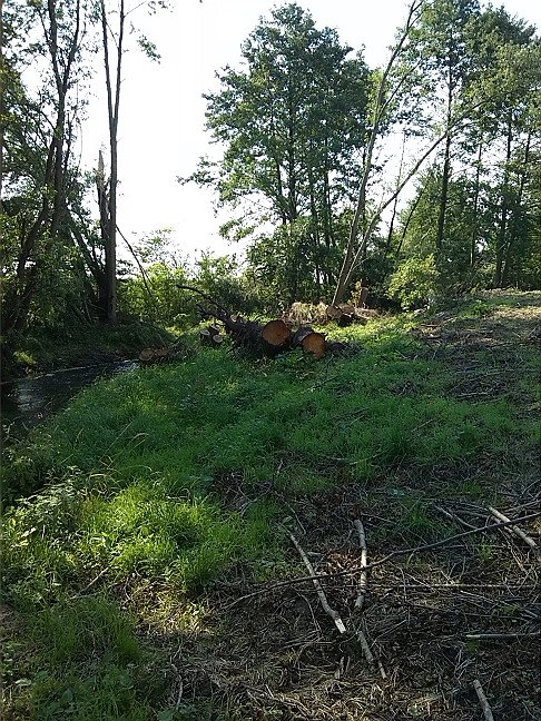 Fahrrad-Exkursion entlang Zorge und Helme