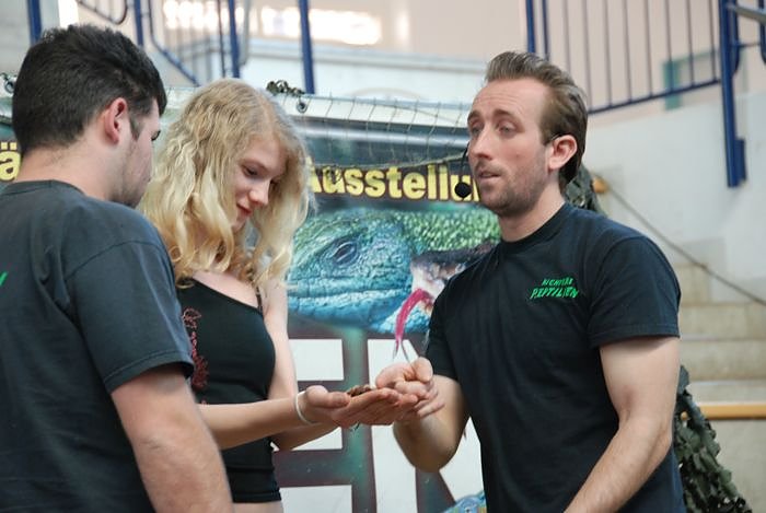 Welt der Reptilien in der Wiedingsburghalle
